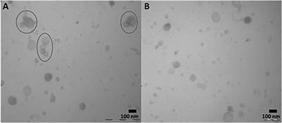 Modulation of Rumen Microbes Through Extracellular Vesicle Released by the Rumen Fluke Calicophoron daubneyi